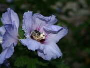 IMG_5713