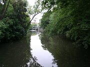 IMG_5727