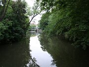 IMG_5728