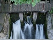 IMG_5733