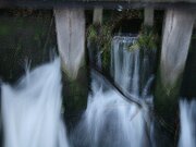 IMG_5734