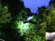 IMG_5746