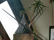 IMAGE0016_17