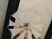 IMAGE1007_7A