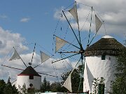 IMG_6905