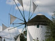 IMG_6906