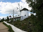 IMG_6916