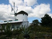 IMG_6917