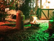 IMG_3311
