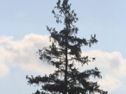 IMG_0027