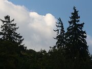 IMG_0041