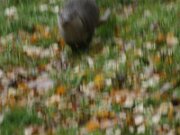 IMG_3542