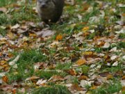 IMG_3543