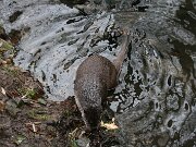 IMG_3547