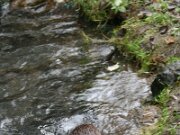 IMG_3550