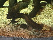 IMG_0487