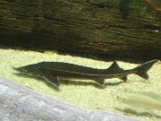 IMG_0492