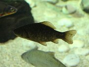 IMG_0494