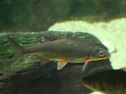 IMG_0495