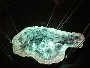 IMG_0498