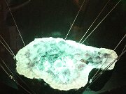 IMG_0500