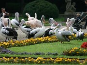 IMG_0777