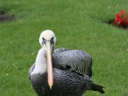IMG_0779