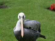 IMG_0780