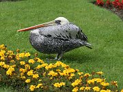 IMG_0783