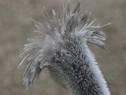 IMG_0785