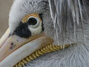 IMG_0790