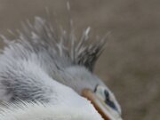 IMG_0791