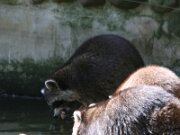 IMG_4324