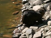 IMG_4326
