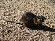 IMG_4327