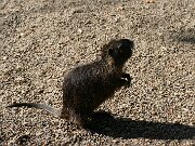 IMG_4329