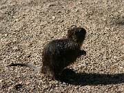 IMG_4330