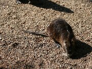 IMG_4332