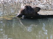 IMG_4337