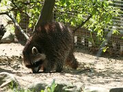 IMG_9073