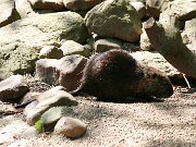 IMG_9074