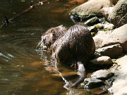 IMG_9075