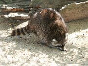IMG_9077