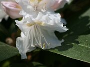 IMG_9088