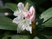IMG_9089