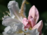 IMG_9090