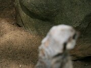 IMG_9340