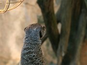 IMG_9342