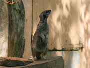 IMG_9343
