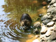 IMG_9350